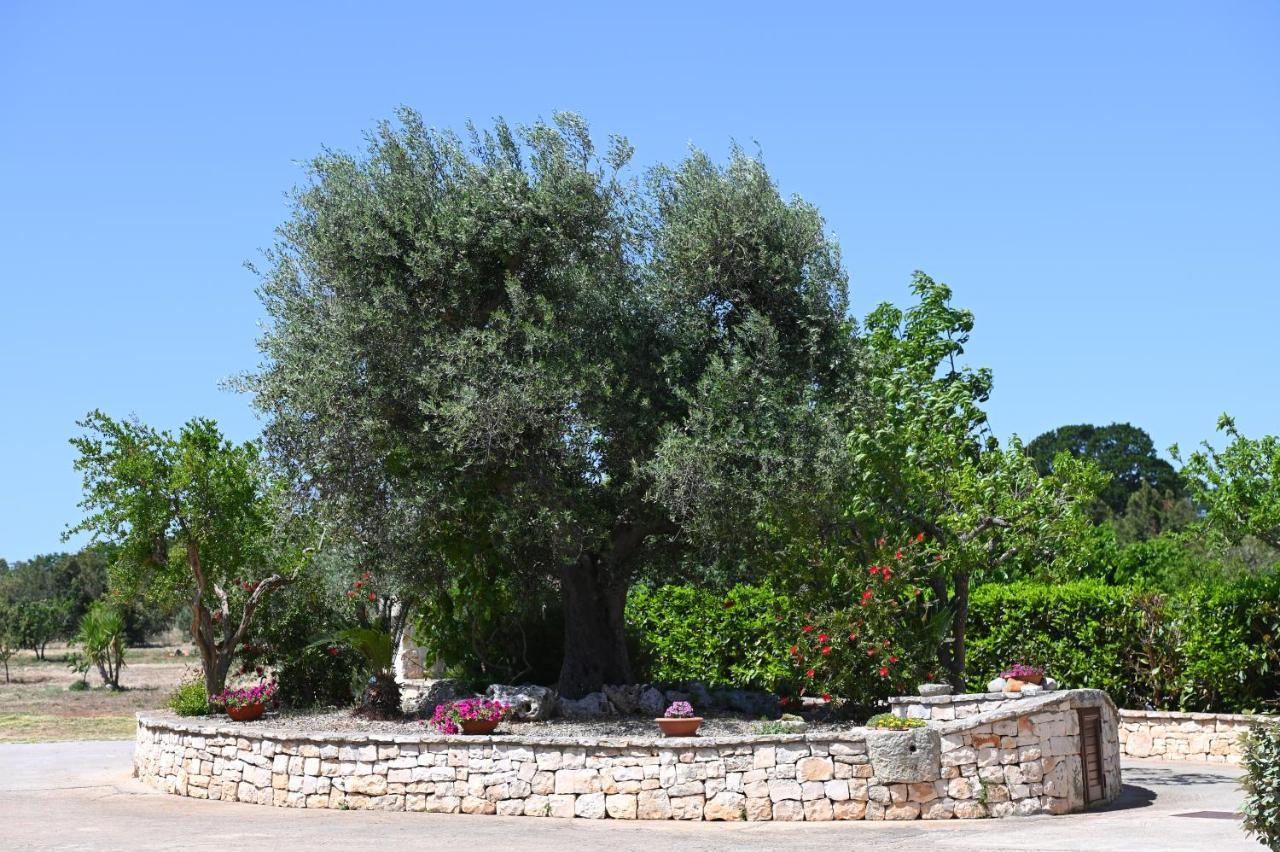 Masseria Peppeturro Cisternino Eksteriør billede